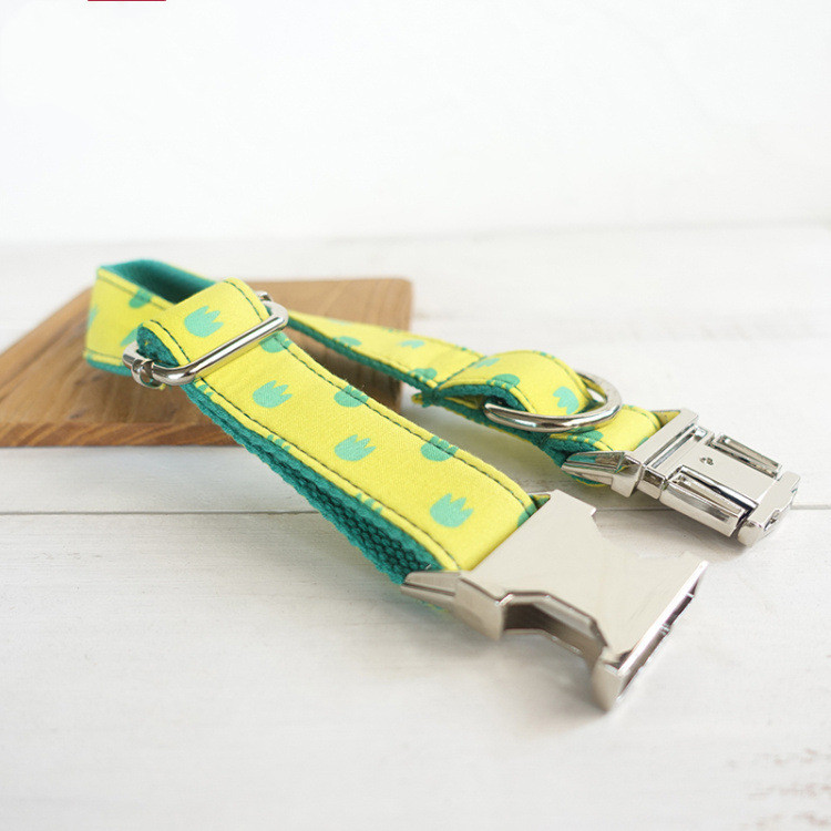 Dog Collar Leash Set Labrador - Image 3
