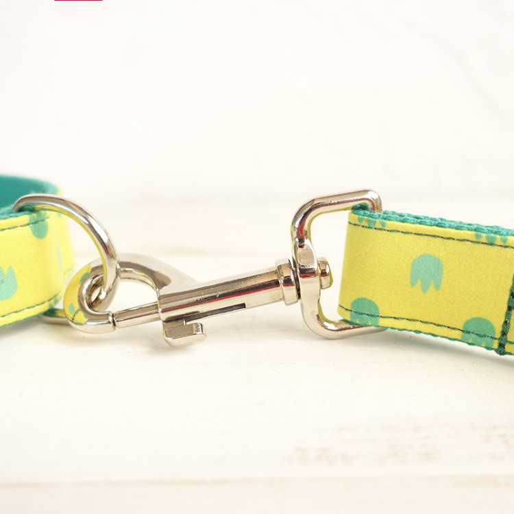 Dog Collar Leash Set Labrador - Image 2