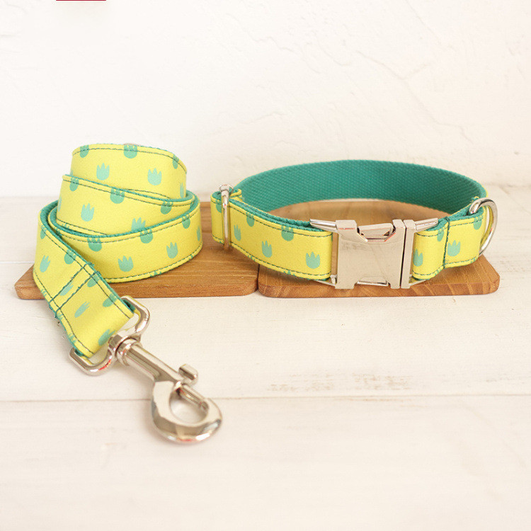 Dog Collar Leash Set Labrador - Image 5