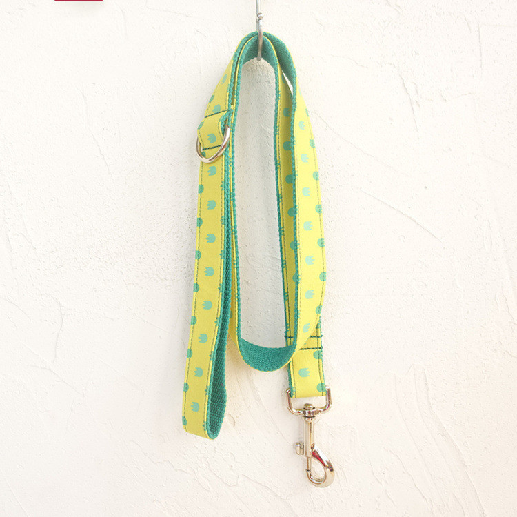 Dog Collar Leash Set Labrador - Image 4