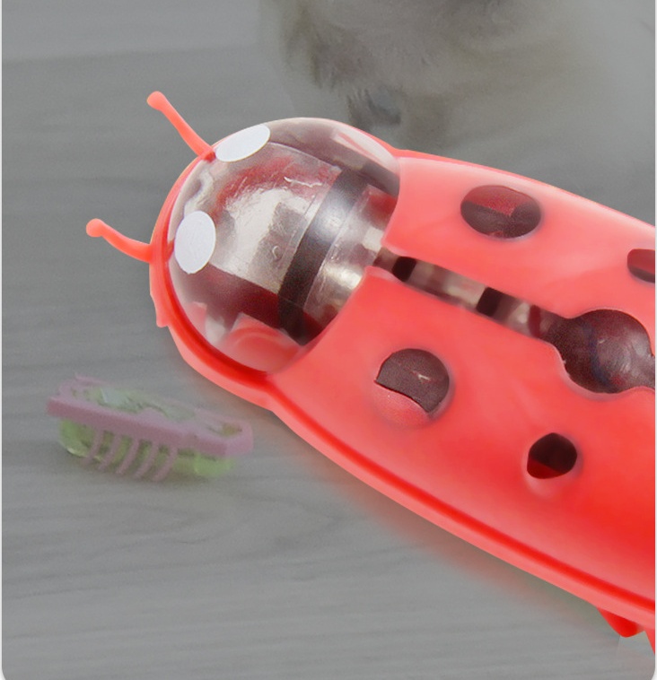Mini Electric Ladybug Cat Toy Cat Interactive Play Toy Funny Cat Interactive Cat Toy - Image 5