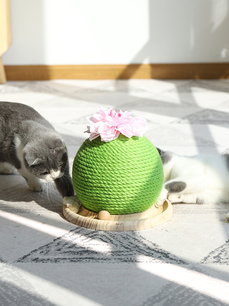 Cat grinding paw toy - Image 4