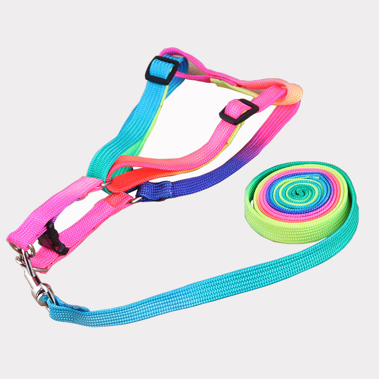 Leashes colorful leashes - Image 2
