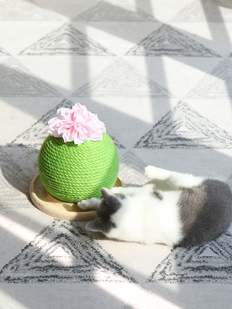 Cat grinding paw toy - Image 3