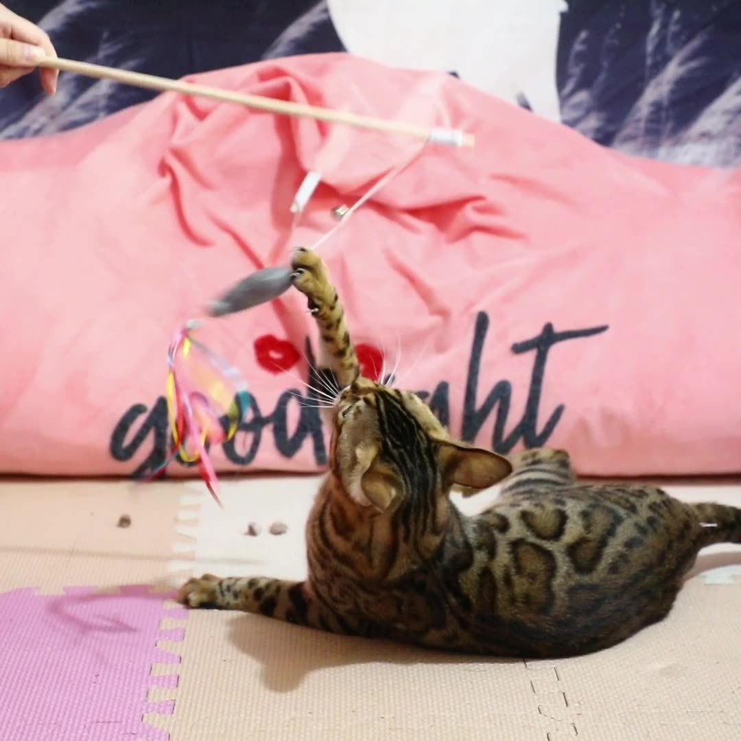 Cat Wand Toys Interactive Cat Toys With Catnip Fish Colorful Ribbons Bell For Kitty Kitten Cat Toys For Indoor Cats Cat Teaser Cat String Toy Cat Accessories - Image 7