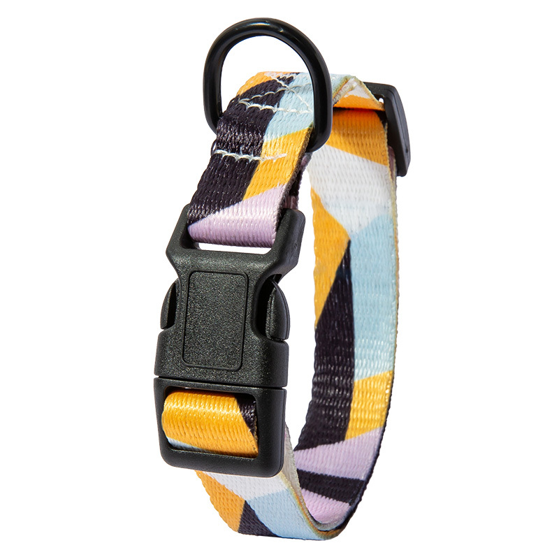 Dog Collar Neck Collar Pet Leash - Image 4