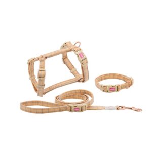 Fashionable And Simple Pet Chest Back Lattice Traction Rope