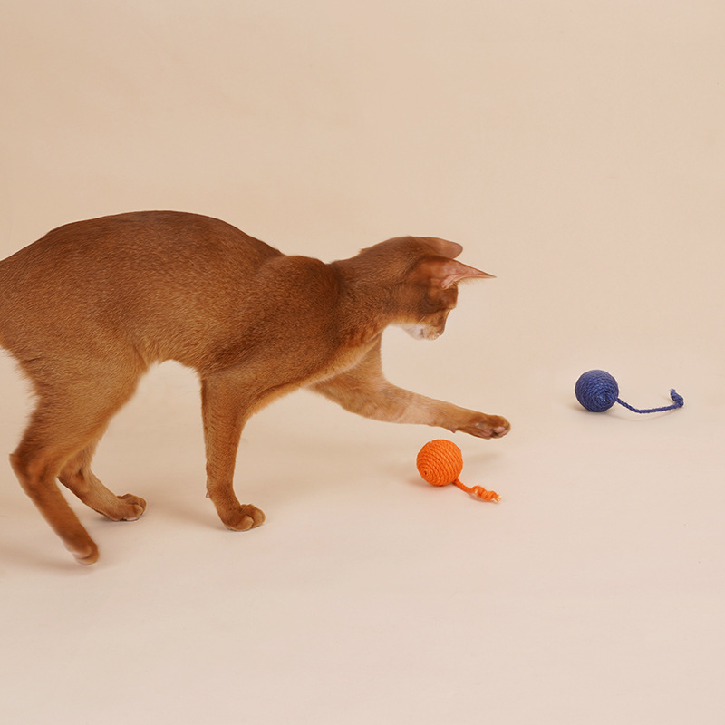 Cat Toy Cat Teaser Stick Bite Resistant Catnip Ball Cat Toy Set Cat Toy Self-hi Kitten Pet - Image 4