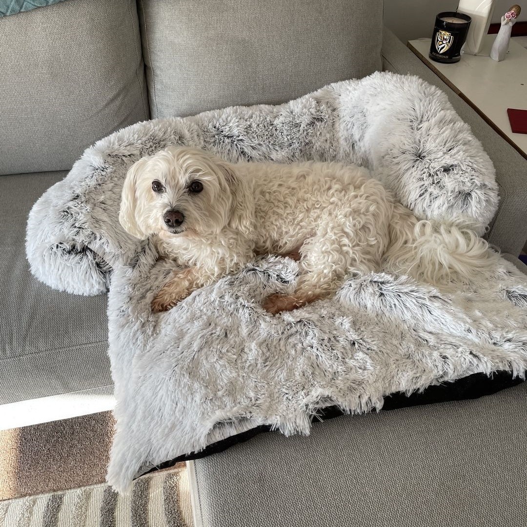 Dog Bed - Image 5