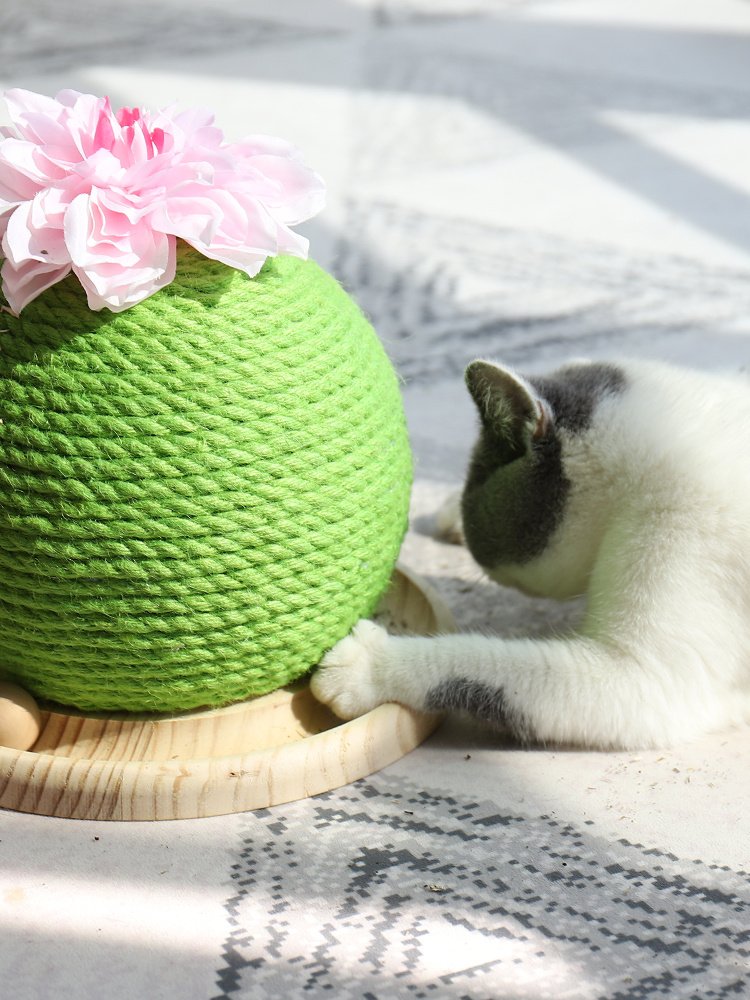 Cat grinding paw toy - Image 5