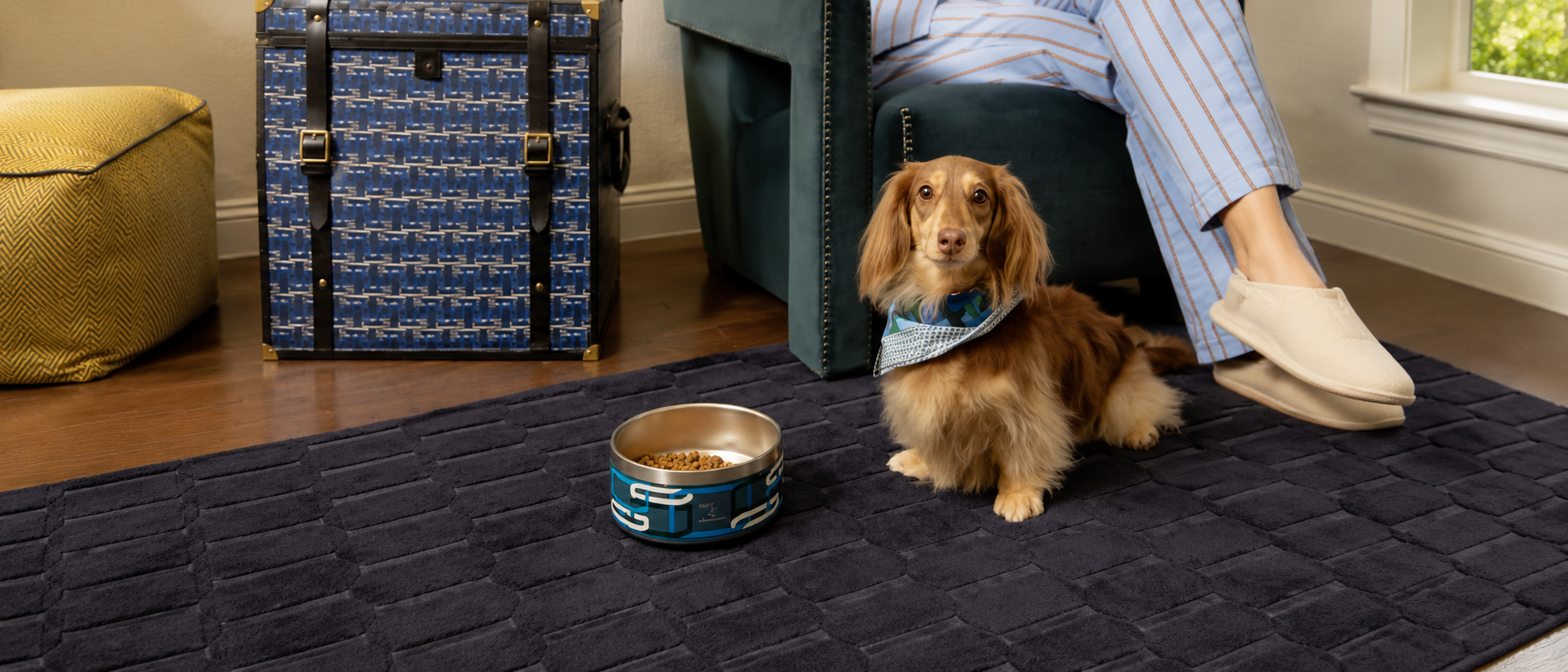 Thoughtful feeding essentials for everyday pet routines
