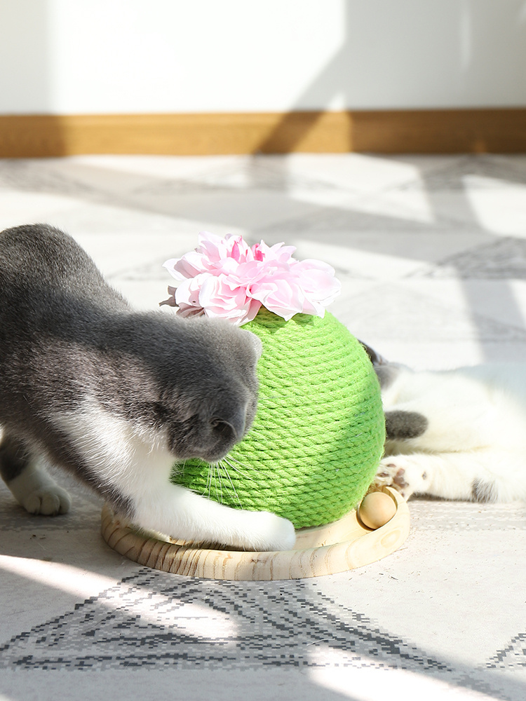 Cat grinding paw toy - Image 7