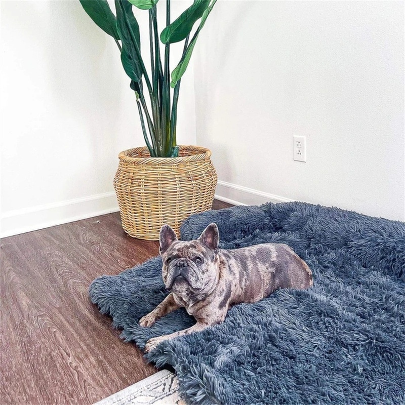 Dog Bed - Image 4