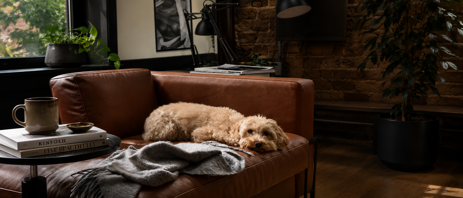 Thoughtful everyday living with pets