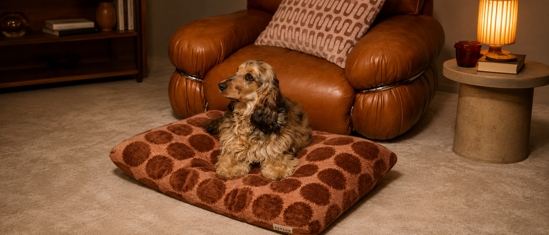 Comfortable everyday living with pets