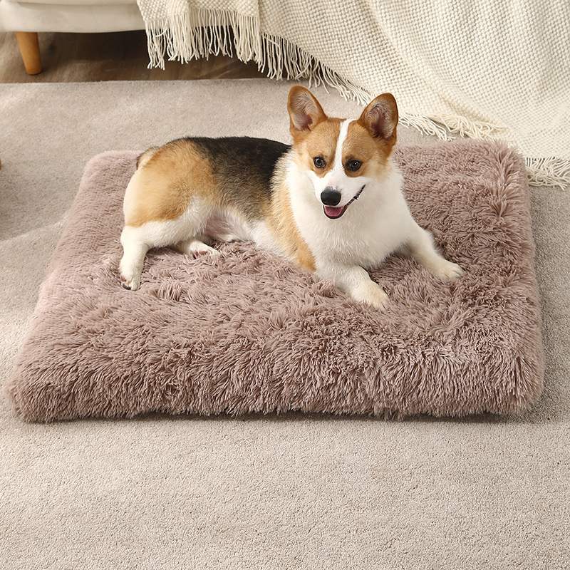 Detachable Cat Mat And Dog Bed - Image 2