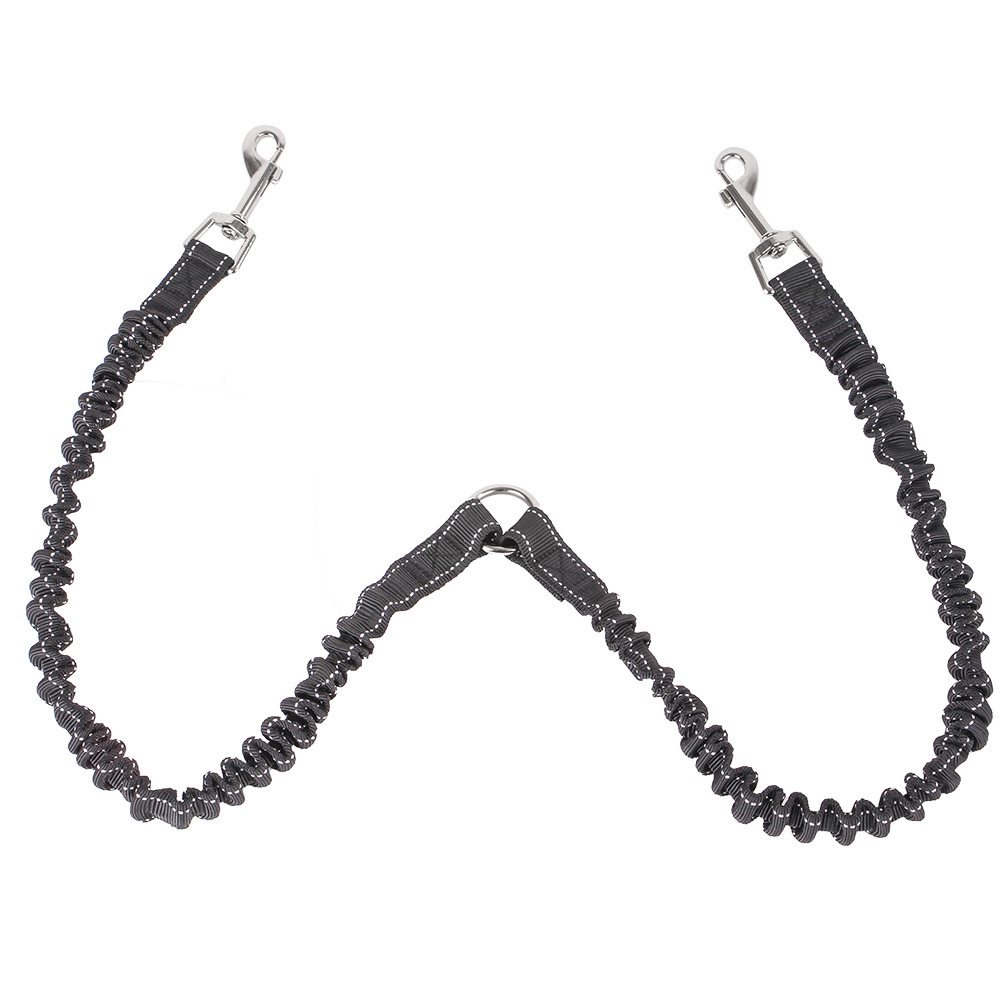 Dogs With One Tow Two Leashes Pets Double Heads - Image 2