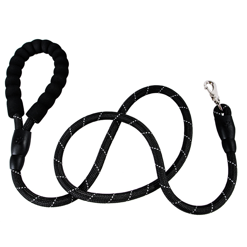 Dogs With One Tow Two Leashes Pets Double Heads - Image 4
