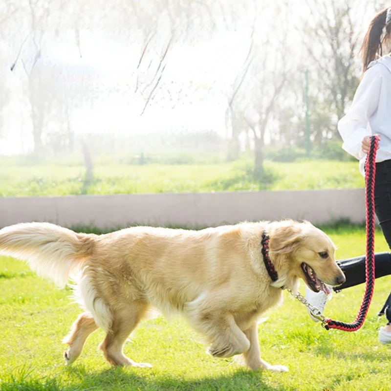 Dog Collars And Belt Covers, Heavy-duty Nylon Braided Ropes, For Training And Walking Leashes Of Small, Medium And Large Dogs - Image 5