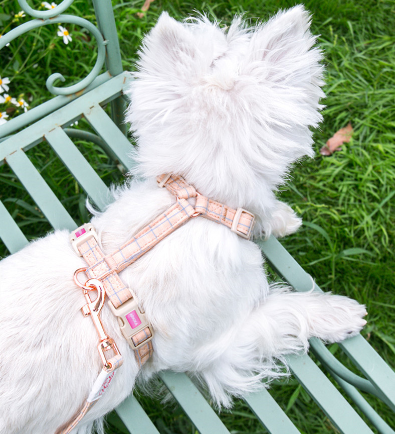 Fashionable And Simple Pet Chest Back Lattice Traction Rope - Image 10