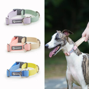 Plastic Waterproof Traction Collar Pet Supplies Tow Rope Collar