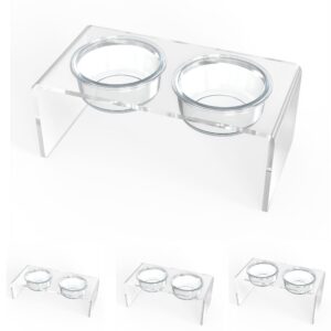 Modern Clear Acrylic Elevated Pet Feeder, Double Bowl