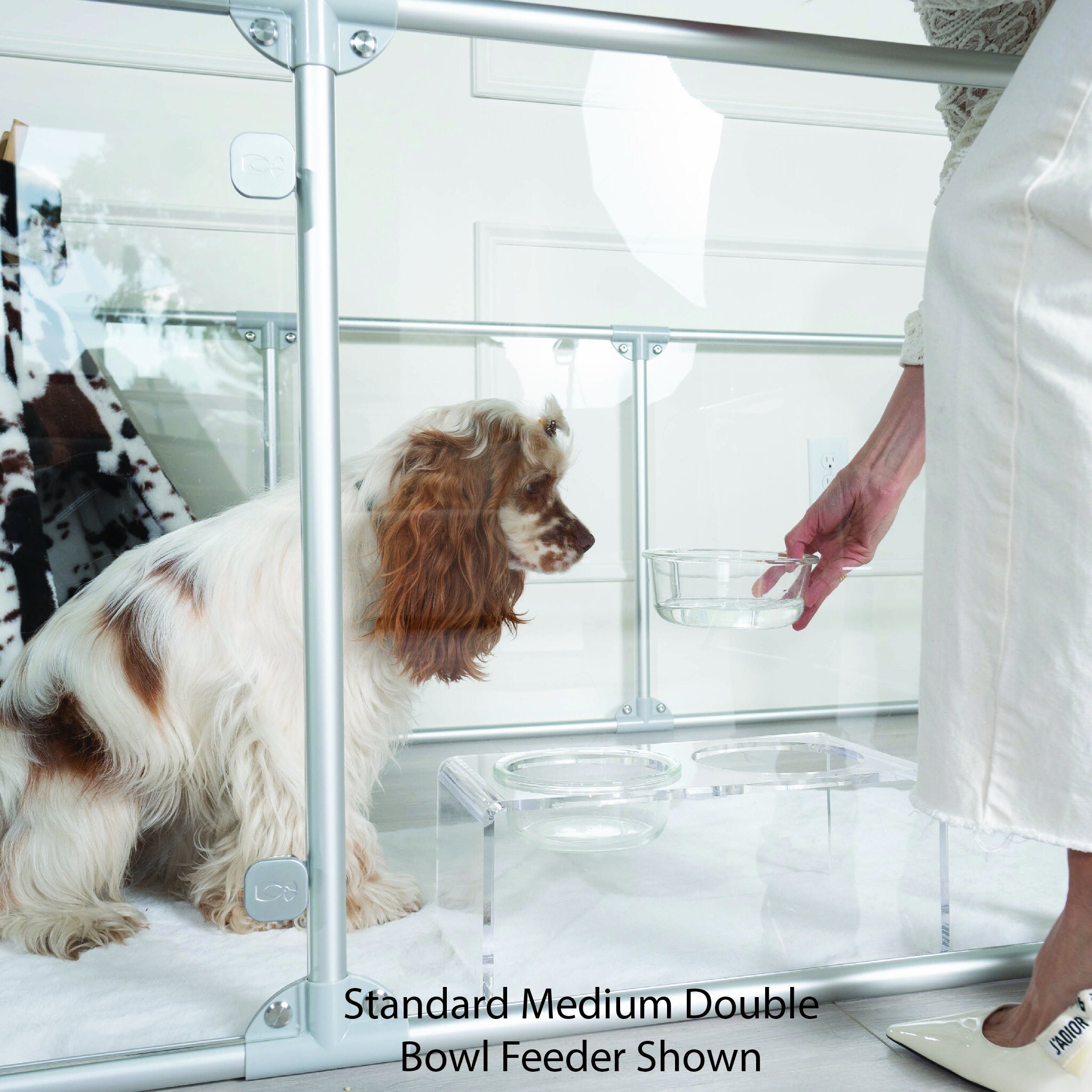 Modern Clear Acrylic Elevated Pet Feeder, Double Bowl - Image 4