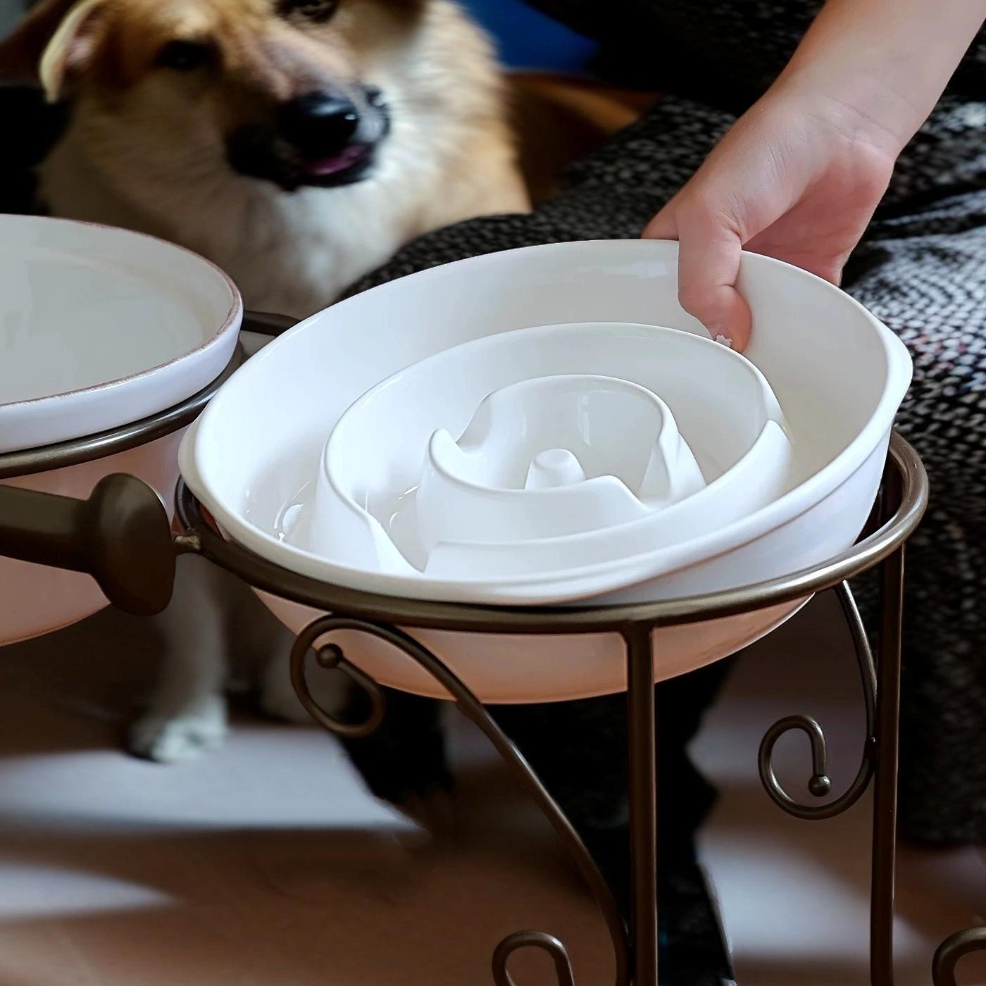 Elevated Double Bowl Feeder for Medium and Large Dogs - Image 3