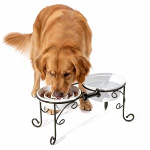 Elevated Double Bowl Feeder for Medium and Large Dogs
