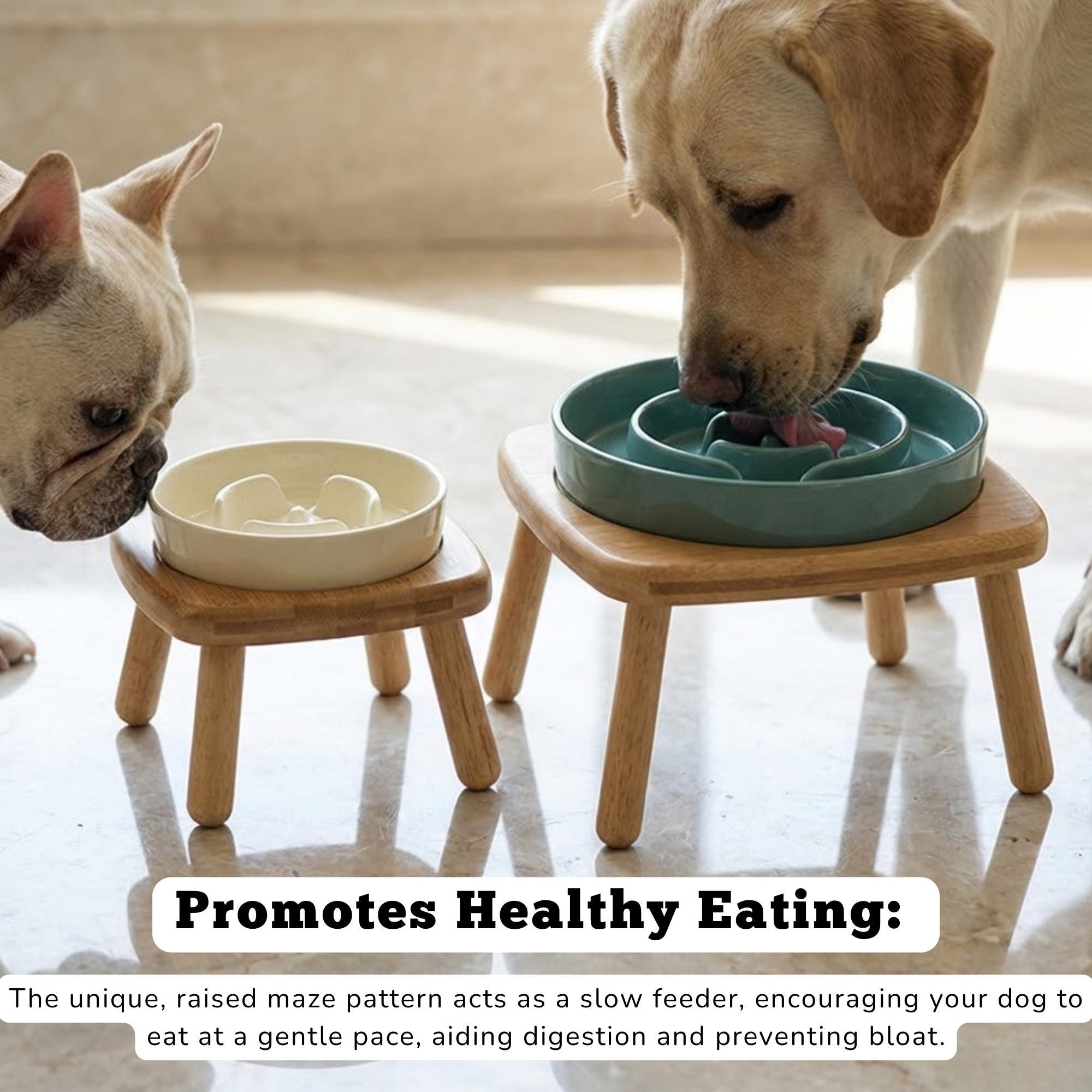 Elevated Ceramic Slow Feeder Dog Bowl with Anti-Slip Bamboo Stand - For Large Breeds - Image 2