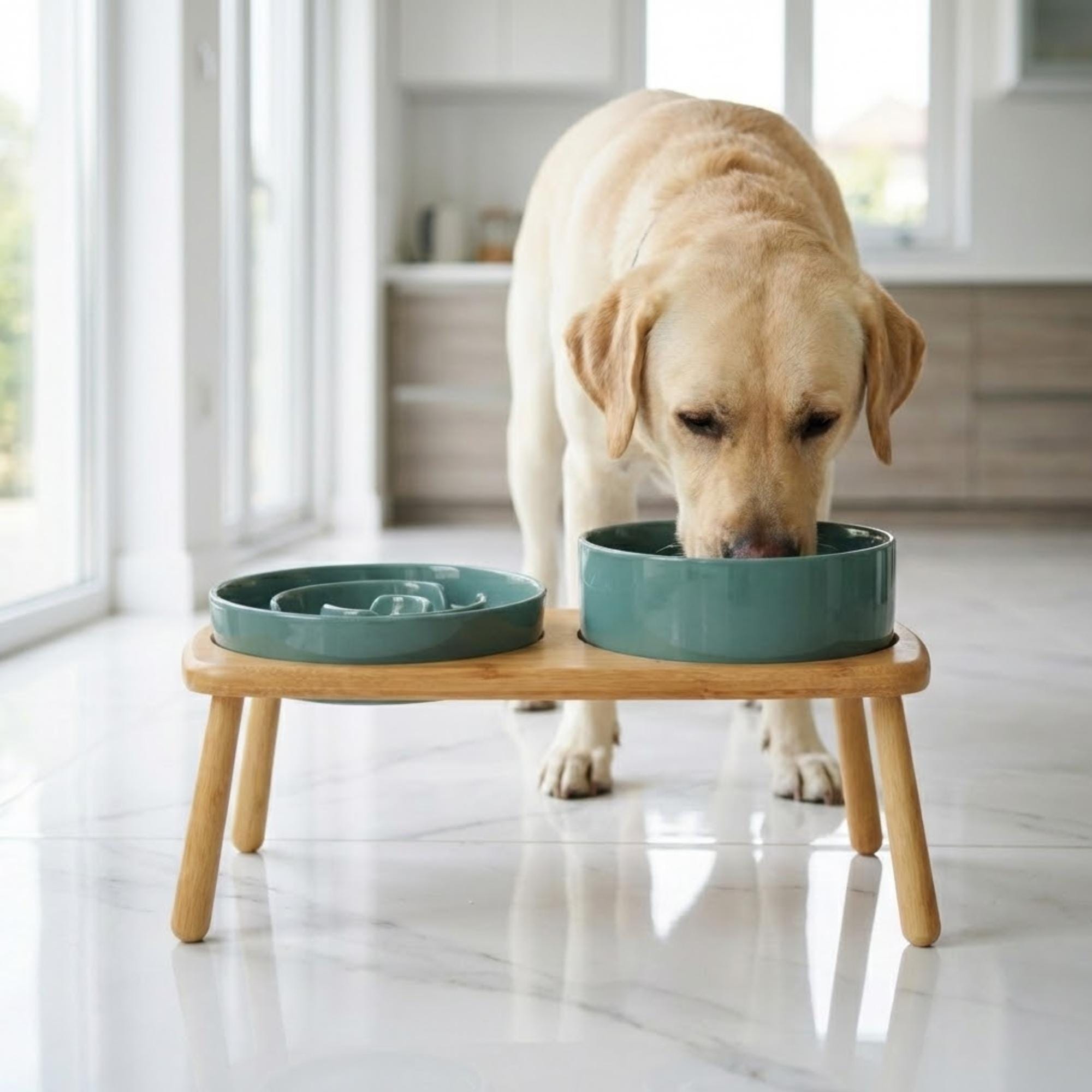 Elevated Ceramic Slow Feeder Dog Bowl with Anti-Slip Bamboo Stand - For Large Breeds - Image 11