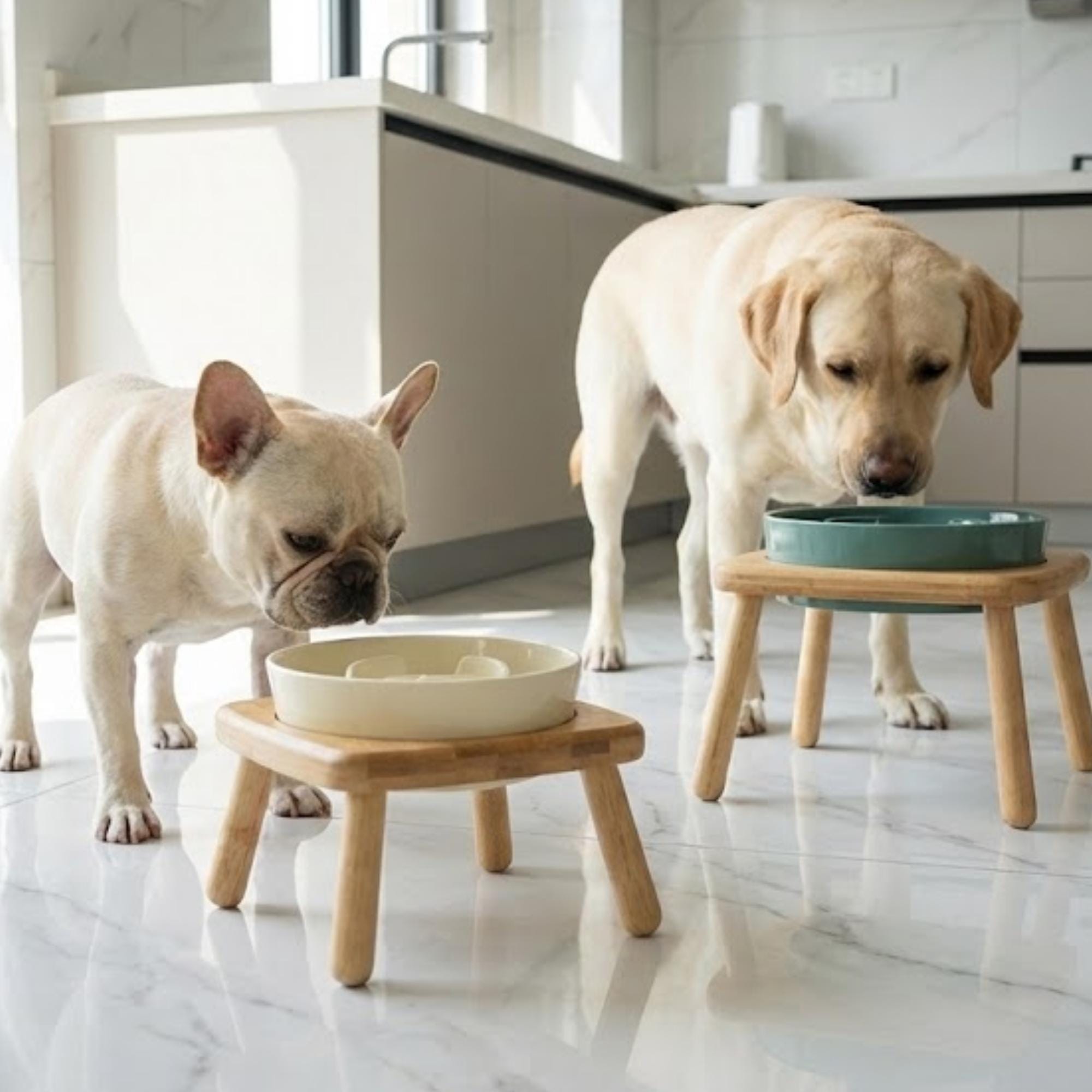 Elevated Ceramic Slow Feeder Dog Bowl with Anti-Slip Bamboo Stand - For Large Breeds - Image 3
