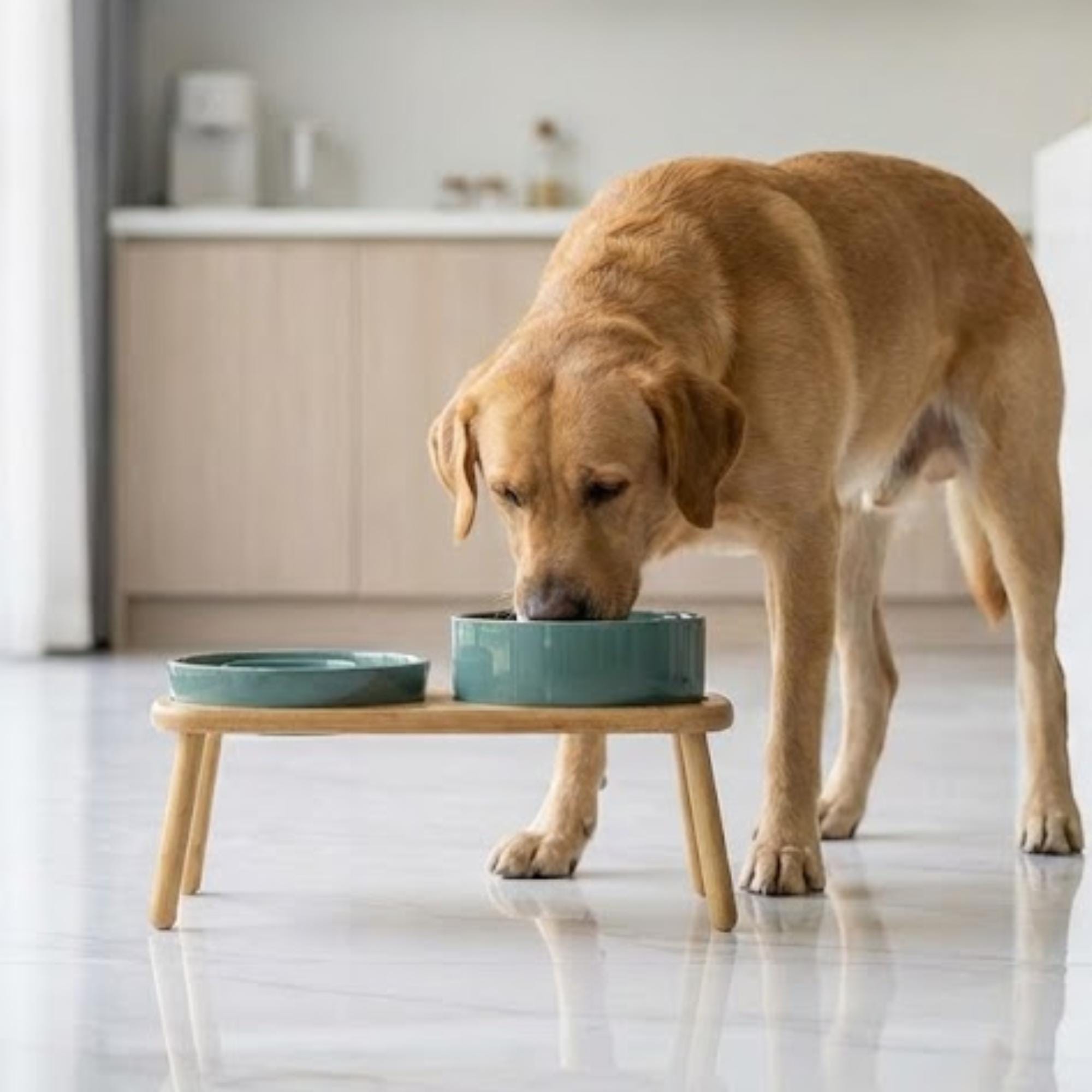 Elevated Ceramic Slow Feeder Dog Bowl with Anti-Slip Bamboo Stand - For Large Breeds - Image 19