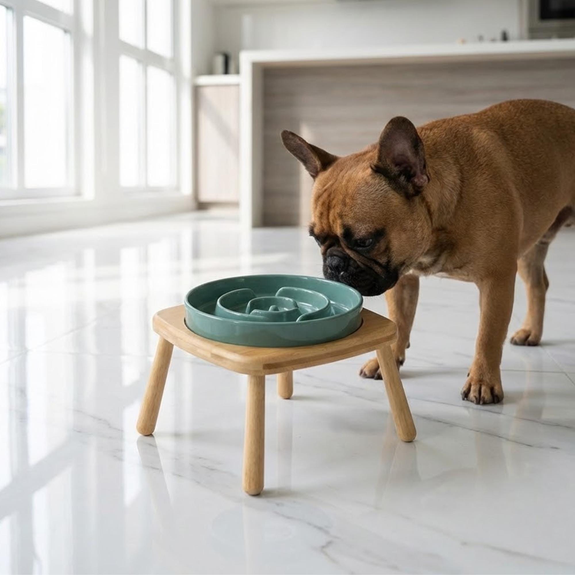Elevated Ceramic Slow Feeder Dog Bowl with Anti-Slip Bamboo Stand - For Large Breeds - Image 9