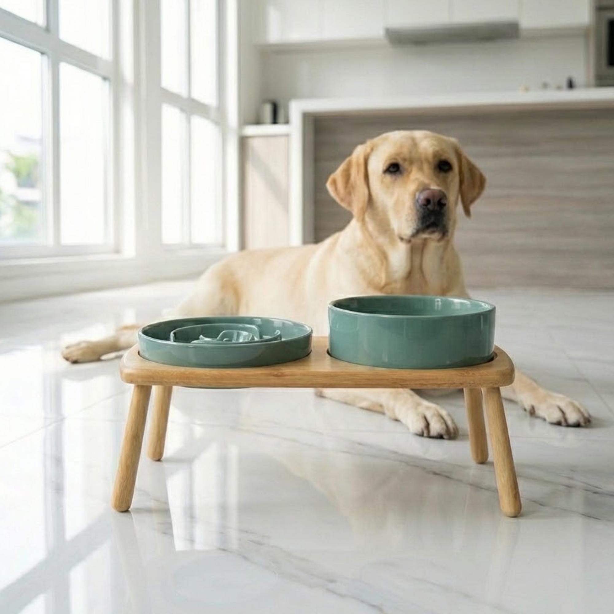 Elevated Ceramic Slow Feeder Dog Bowl with Anti-Slip Bamboo Stand - For Large Breeds - Image 12