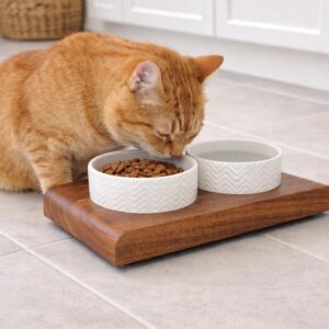 Elevated Cat Bowl,Cat Bowl Stand, Elevated Cat Feeder, Solid Wood Cat Feeding Station, Raised Cat Food Bowl, Modern Pet Furniture