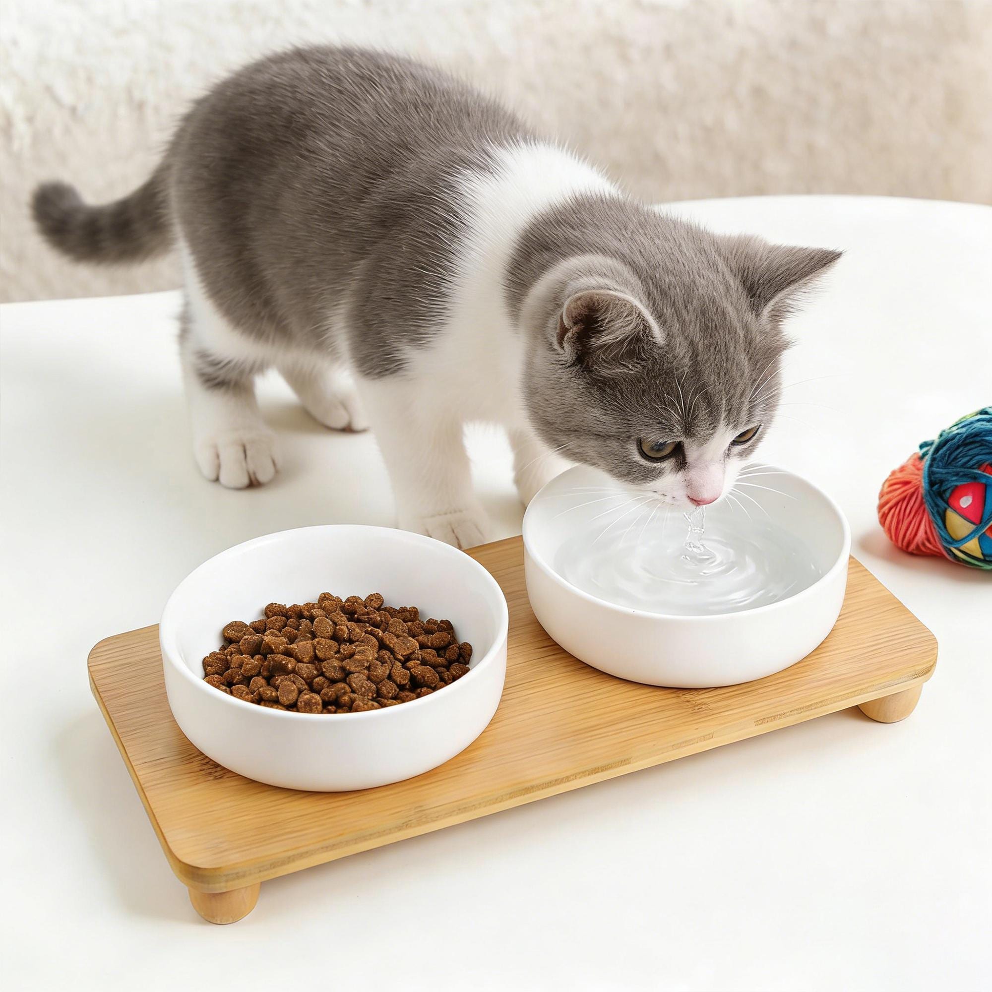 Perfect Lovers, Ceramic Pet Bowl, Unique Dog Feeder & Cat Dish, Stylish and Durable Feeding Bowl for Cats - Dogs - Image 11