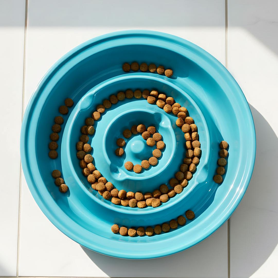 Elevated Double Bowl Feeder for Medium and Large Dogs - Image 13