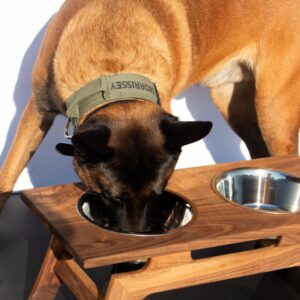 Hardwood Pet Feeder, MCM Style Raised Pet Bowl