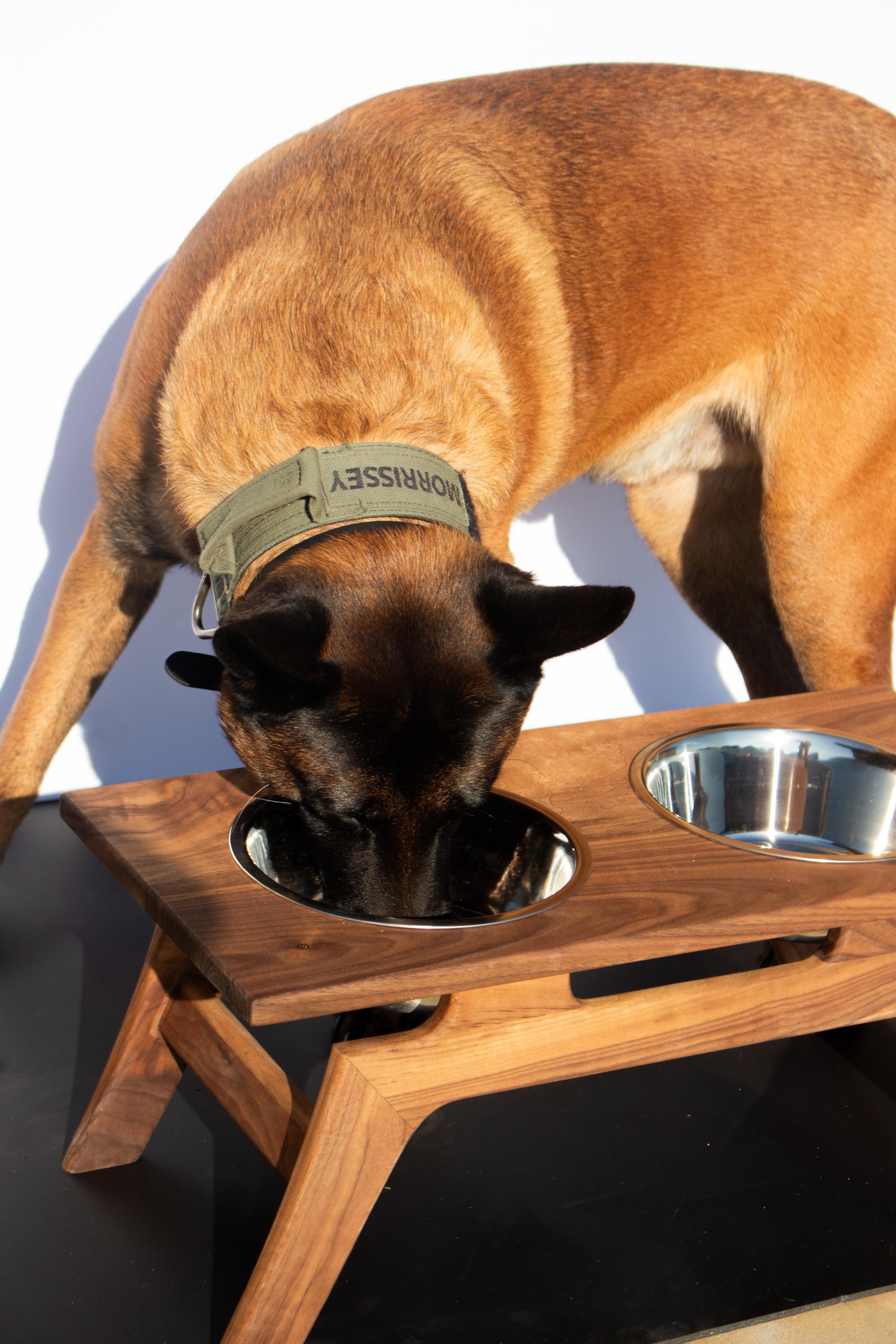 Hardwood Pet Feeder, MCM Style Raised Pet Bowl