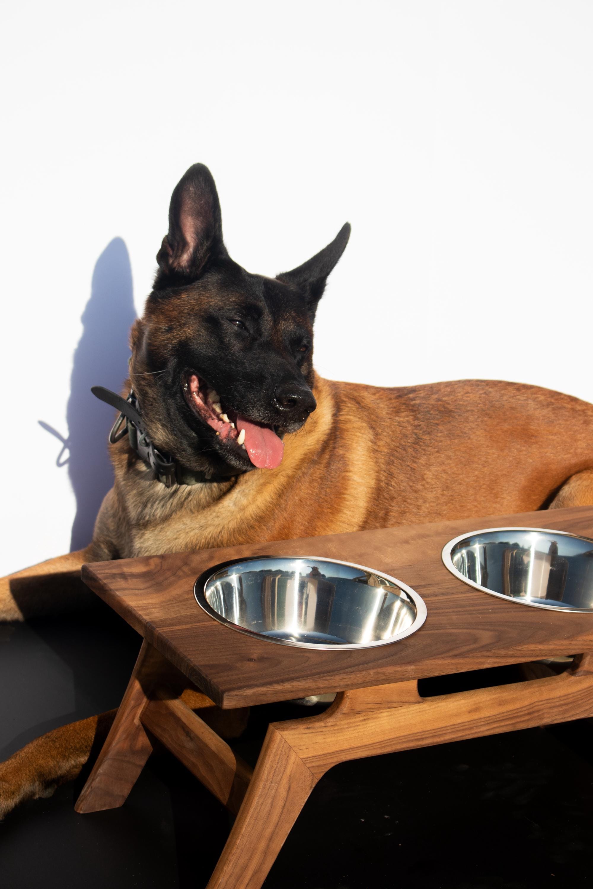 Hardwood Pet Feeder, MCM Style Raised Pet Bowl - Image 8