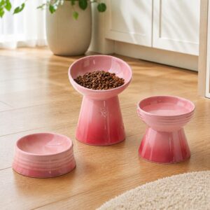 Elevated Pet Bowl, Ceramic Raised Cat Dog Feeder with Neck Protection & Tilted Design